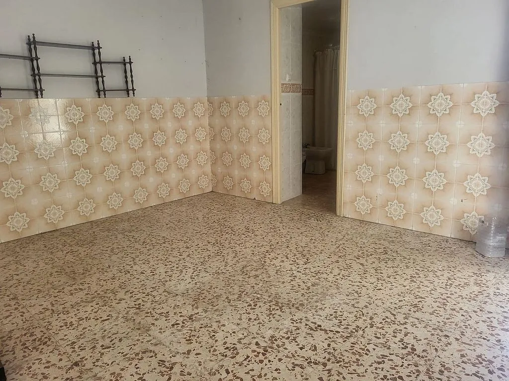 Toad - Terraced House in Quiet Area, Azuaga
