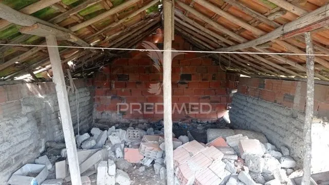 Toad - Traditional House with Fruit Trees in Couço, Coruche