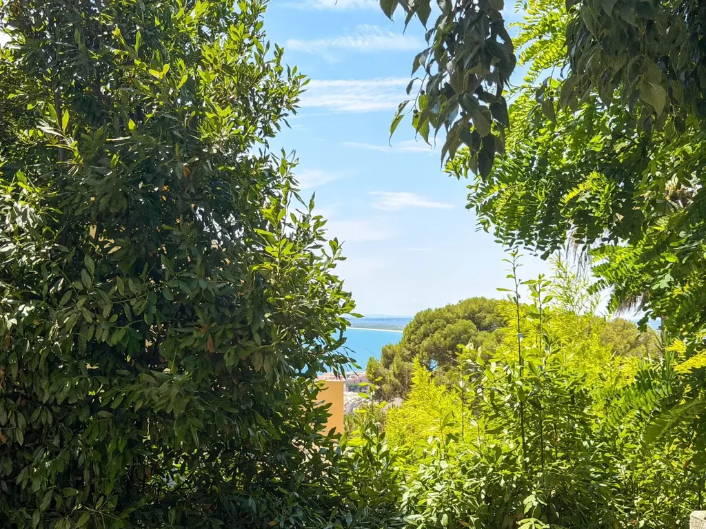 Jardin - Maison à Rénover avec Vue Mer à Saint-Clair Sud