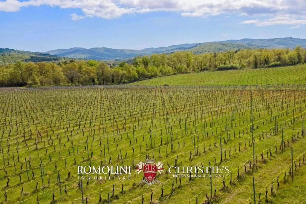 Jardin - Vineyard Estate with Chianti DOCG in Bucine