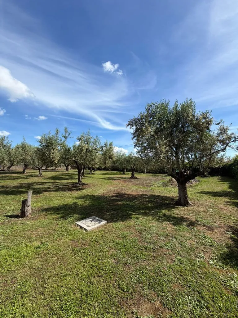 Jardin - Rustic Villa with Garden in Lanuvio