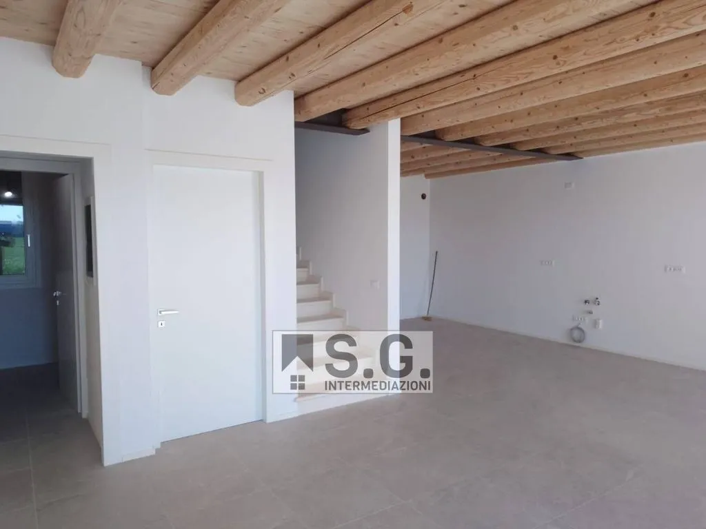 Toad - Luxury Villa with Private Garden in Mirano