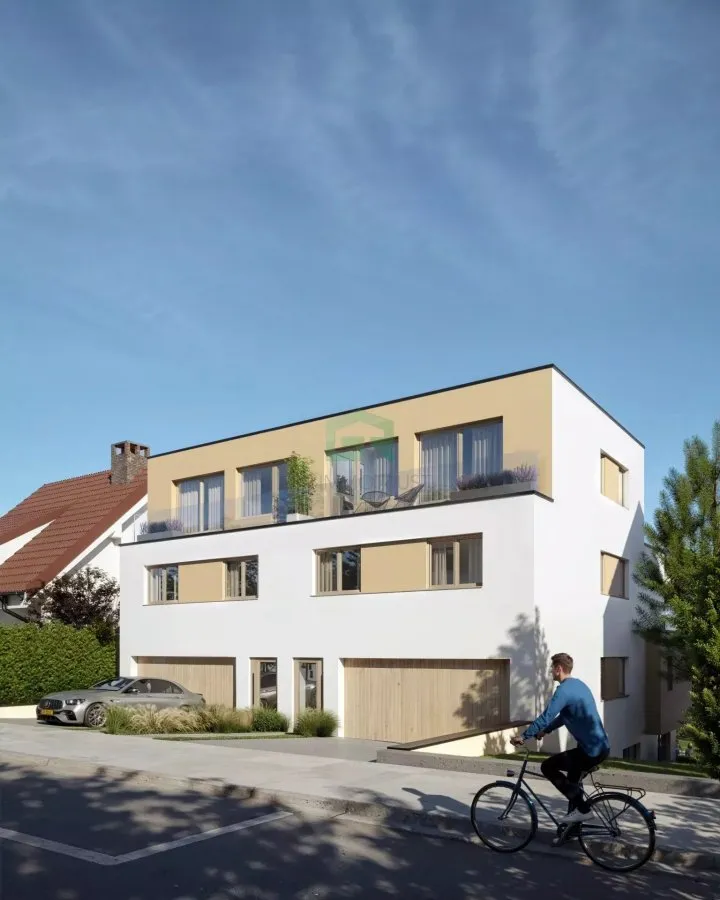Penthouse with Terraces in Dudelange
