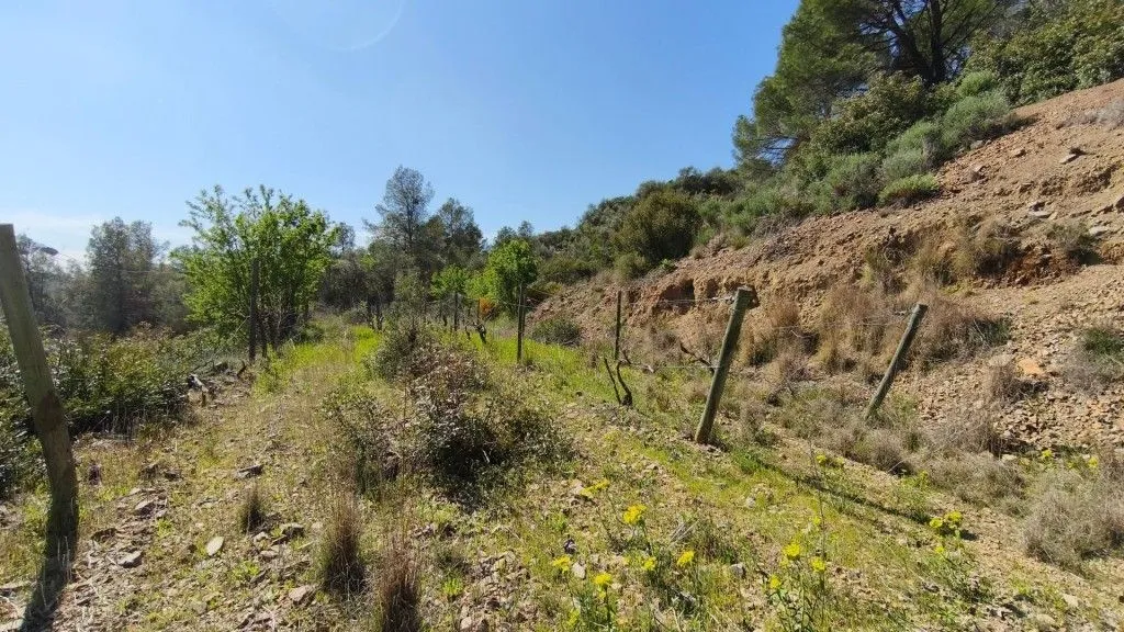 Aed - Boutique Vineyard with Winery in Priorat