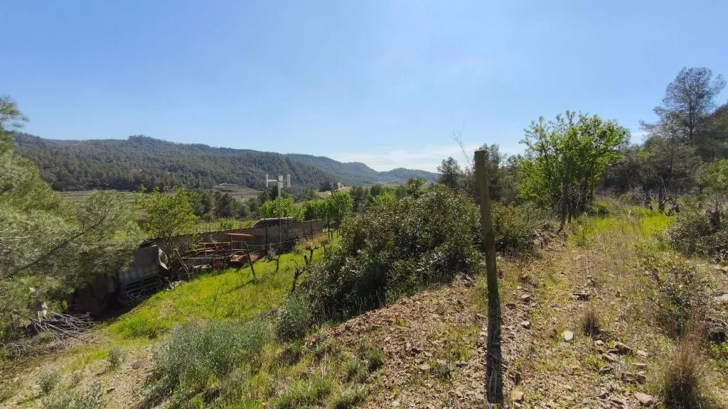 Aed - Boutique Vineyard with Winery in Priorat