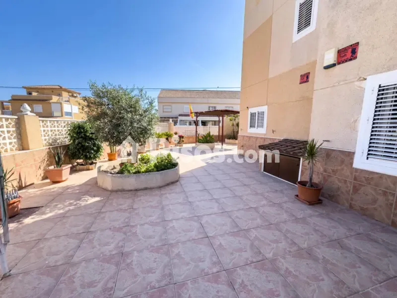 Jardin - Chalet with South-Facing Terrace in Torrevieja