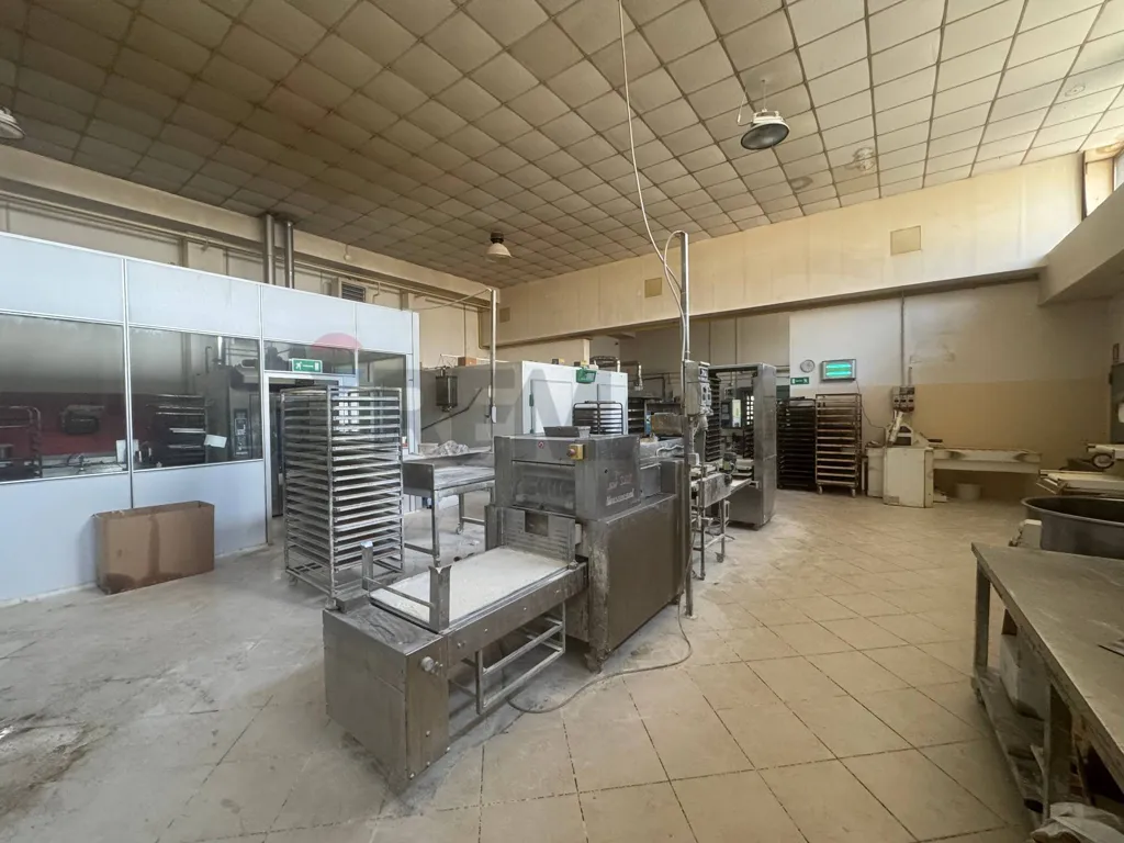 Köök - Commercial Lab with Open Plan in Magenta