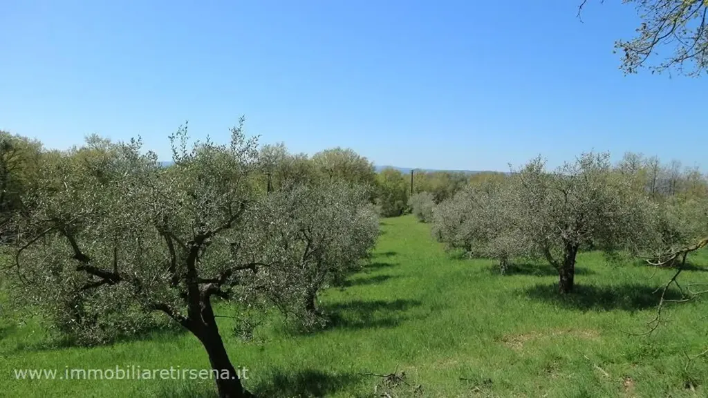 Jardin - Casale with Panoramic Views near Orvieto