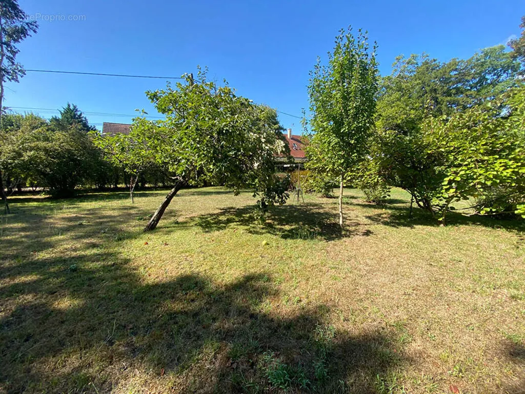 Terrain Arboré Constructible à Olivet
