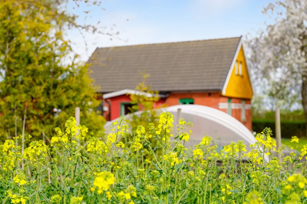 Jardin - Charmful Brick Villa with Garden in Grönby