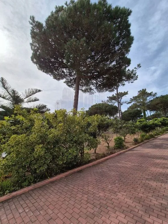 Exterior - Luxury House with Pool in Sintra