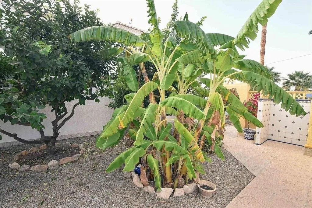 Aed - Detached Villa with Pool in Torrevieja