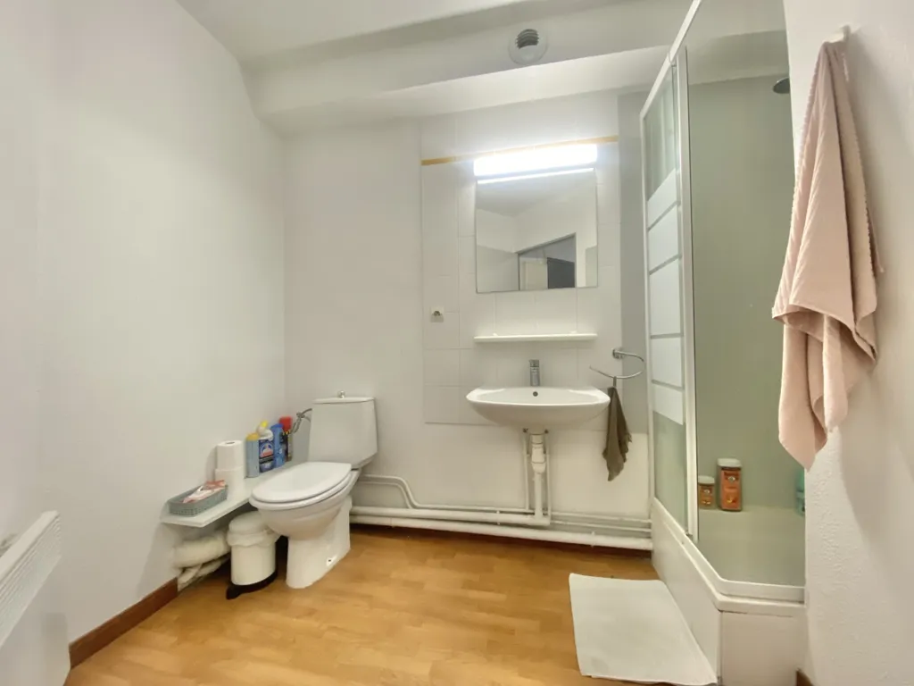 Salles de bain - Appartement T2 Meublé à Port Marianne, Montpellier