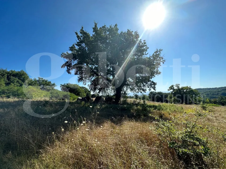 Jardin - Large Land with Potential in Orte