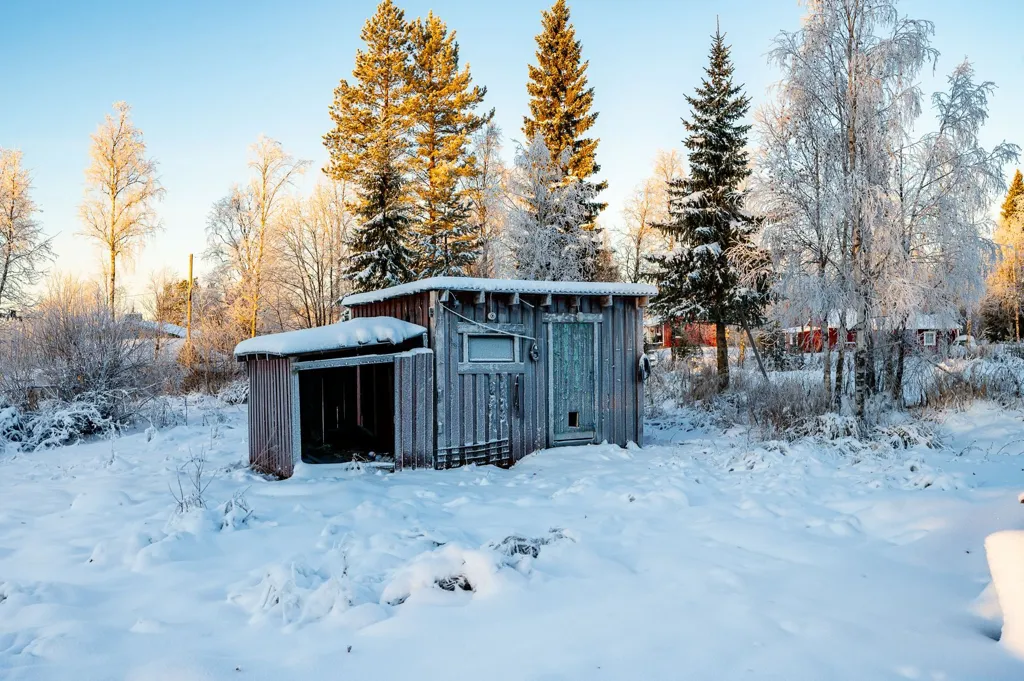 Esterno - Detached House with Large Garden in Norrbotten