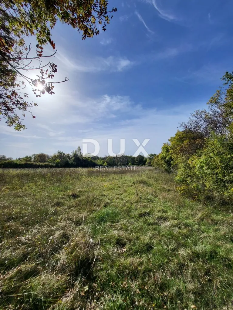 Aed - Agricultural Land with Water Source in Poličnik