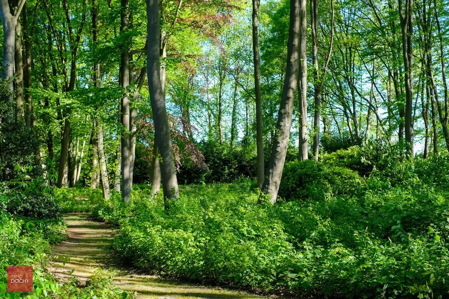 Jardin - Villa Caractéristique avec Parc de 2,7ha près de la Côte