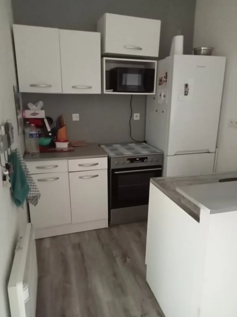 Cuisine - Appartement Lumineux en Centre-Ville à Luçon