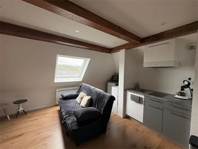 Elutuba - 1-Bed Apartment in Blotzheim