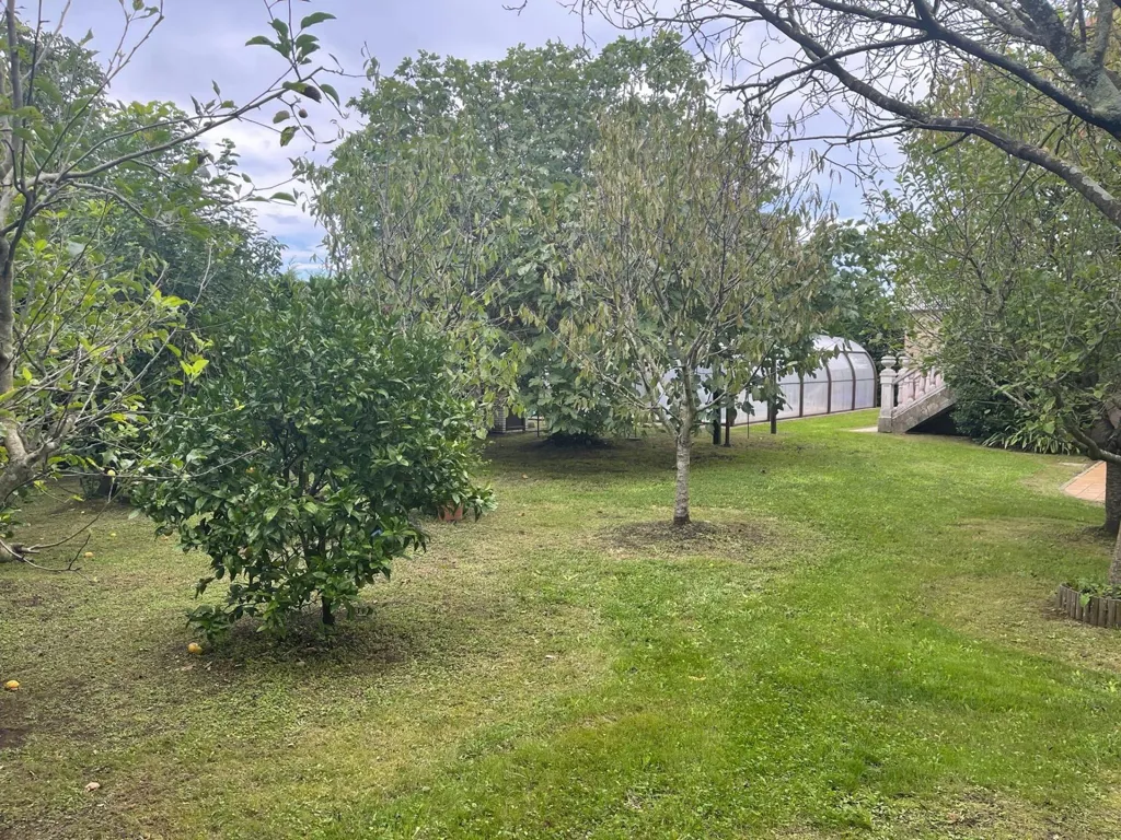 Jardin - Chalet with Private Pool in Ajo, Cantabria