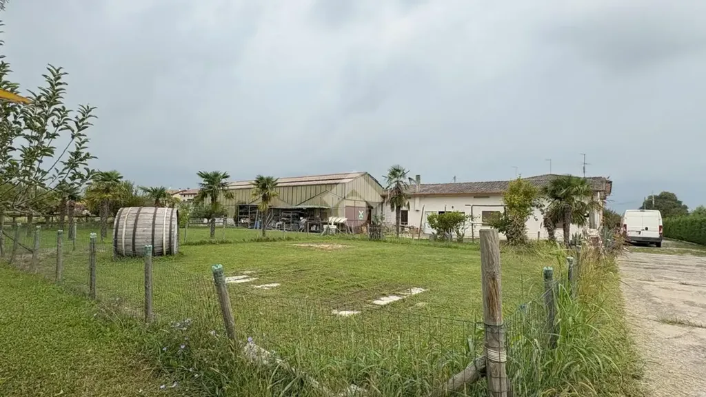 Giardino - Detached House with Potential in Vigodarzere