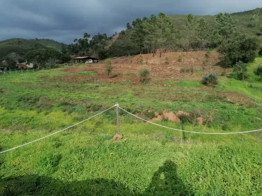 Jardin - Rustic Land with Orchard and Cork Oak in Alvor