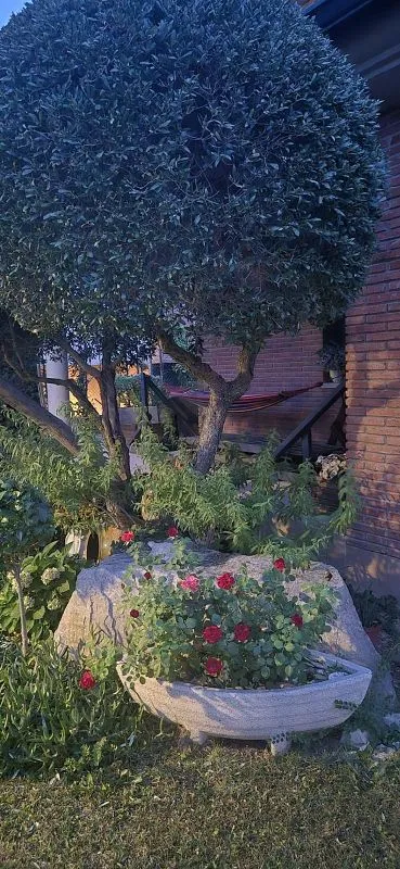 Jardin - Detached House with Pool in Alpicat
