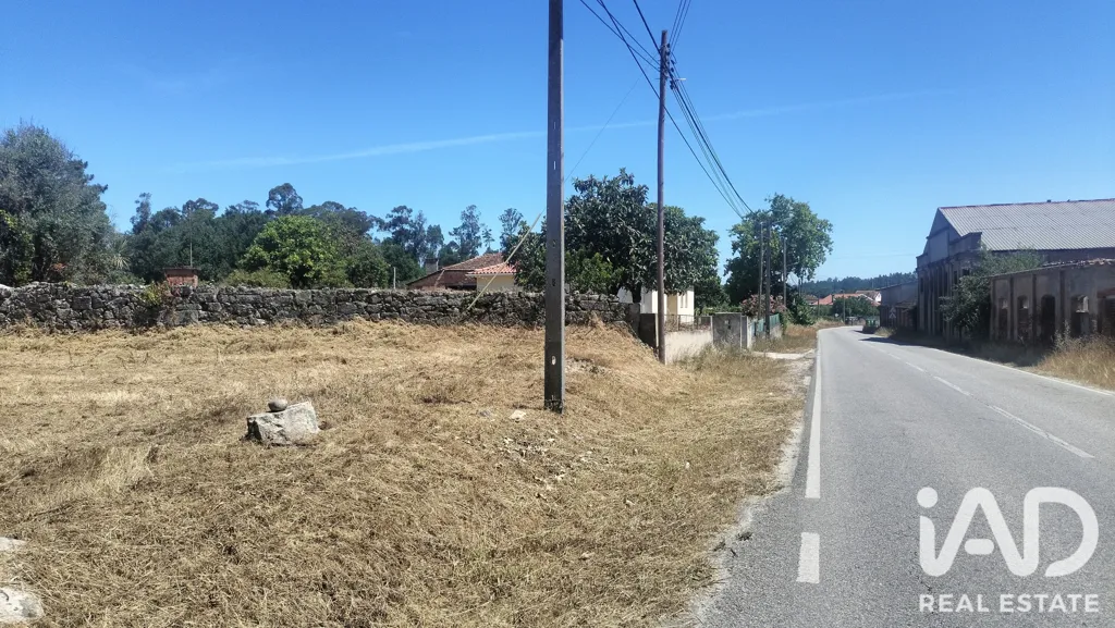 Rural Land with Expansion Potential in Tondela