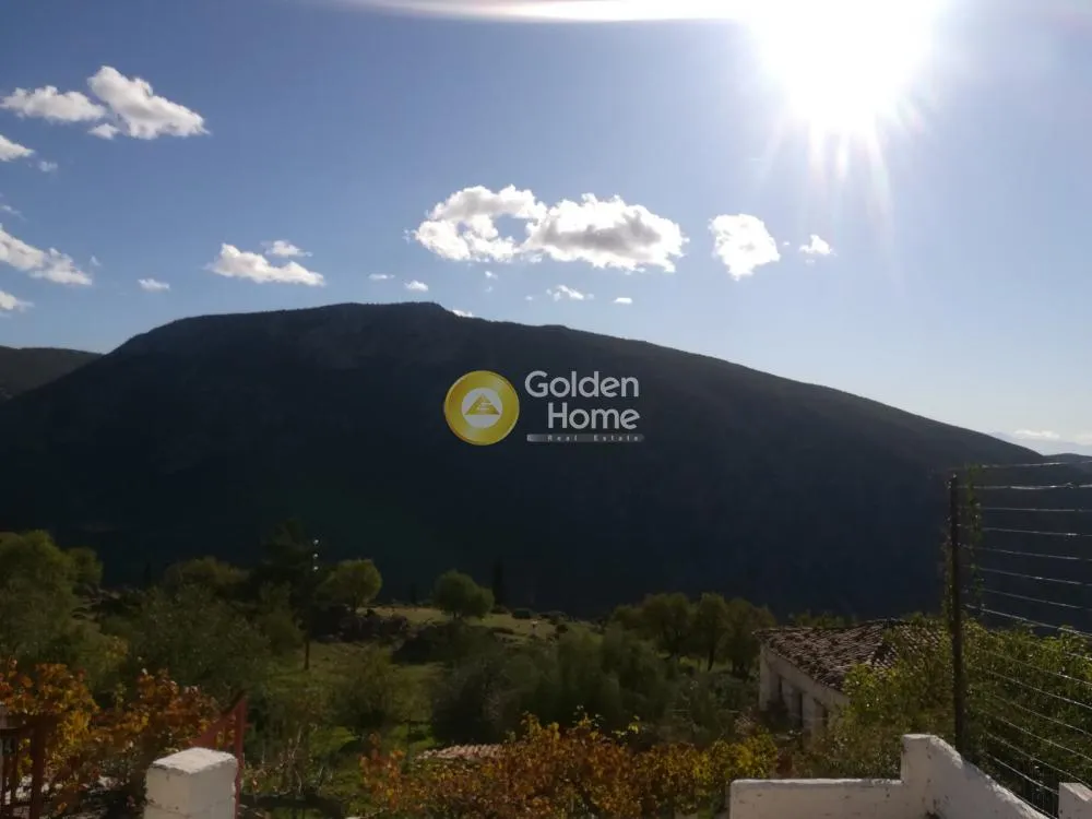 Terrasse - Amphitheatre-Style Plot with Panoramic Views in Delphi