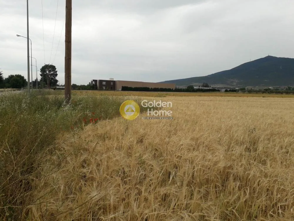 Jardin - Buildable Plot with Unrestricted View in Thermi