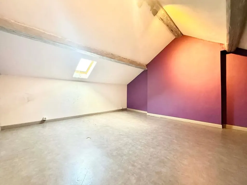 Toad - Spacious House to Renovate in Seraing