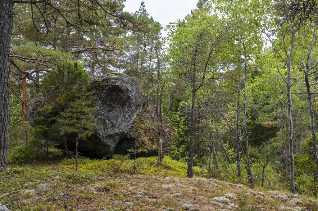 Aed - Plot with Forest View in Södertälje