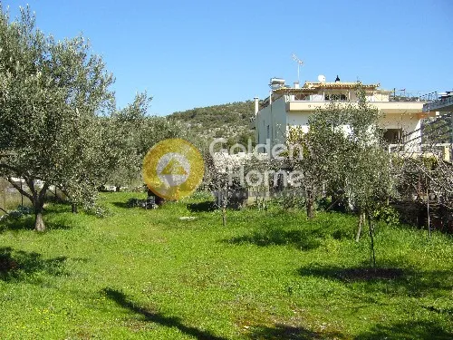 Aed - Agricultural Plot with Olive Trees in Korythio