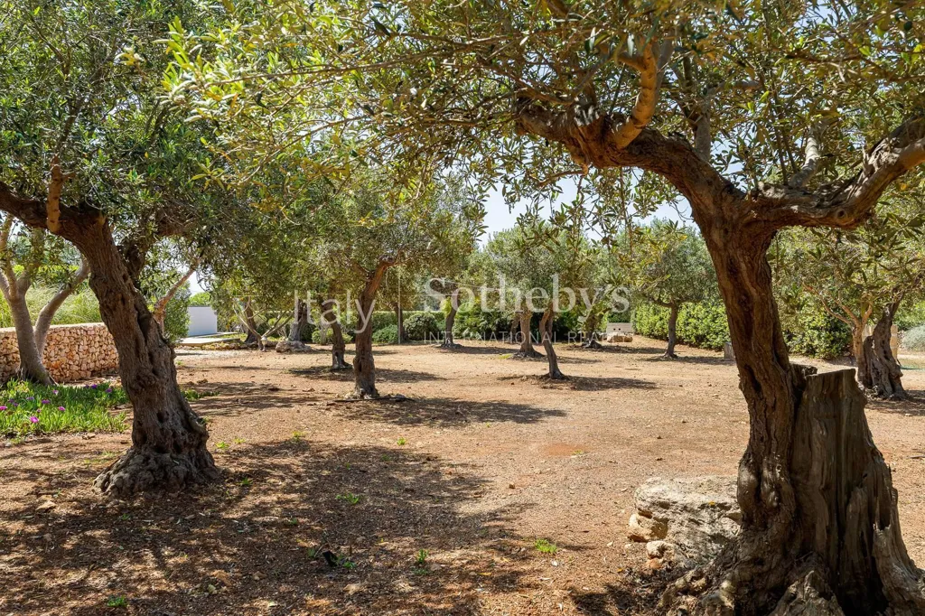 Jardin - Luxury Villa with Pool in Favignana, Sicily
