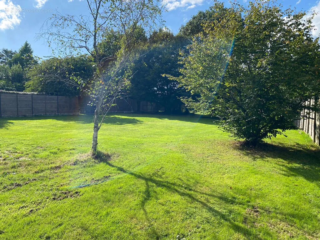 Jardin - Terrain Constructible Arboré à La Trinité-surzur