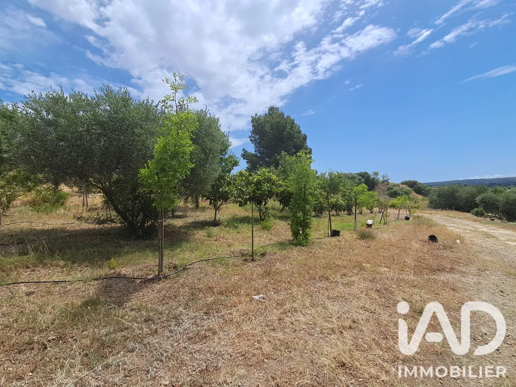 Jardin - Terrain Agricole avec Verger à Azille