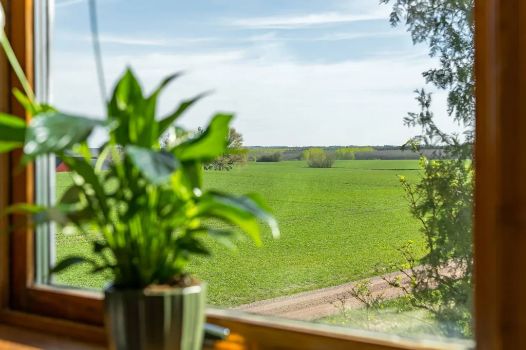 Toad - Villa with Workshop in Open Landscape
