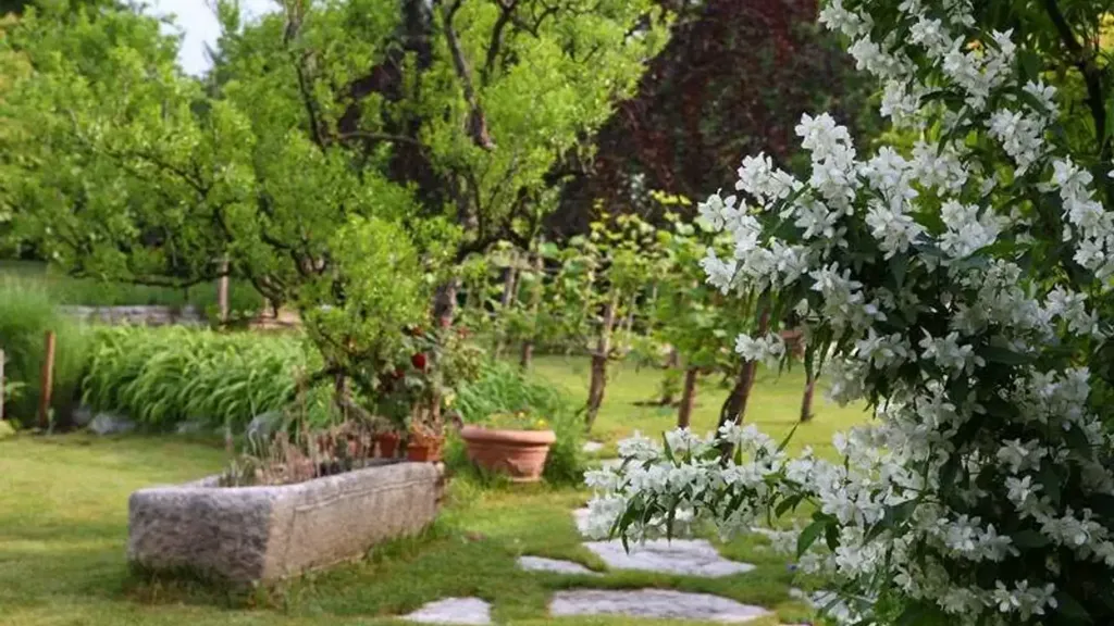 Jardin - Rustic Apartment with Garden in Greve in Chianti