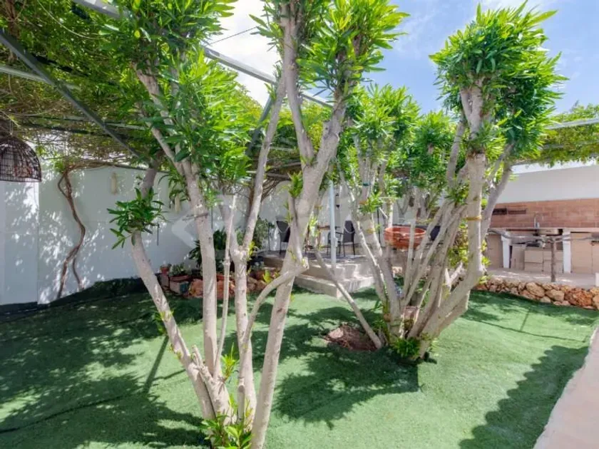 Jardin - Maison 3 chambres à Balears (Illes)