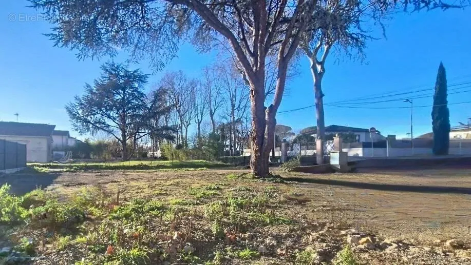 Jardin - Terrain à Bâtir avec Jardin à Tournefeuille
