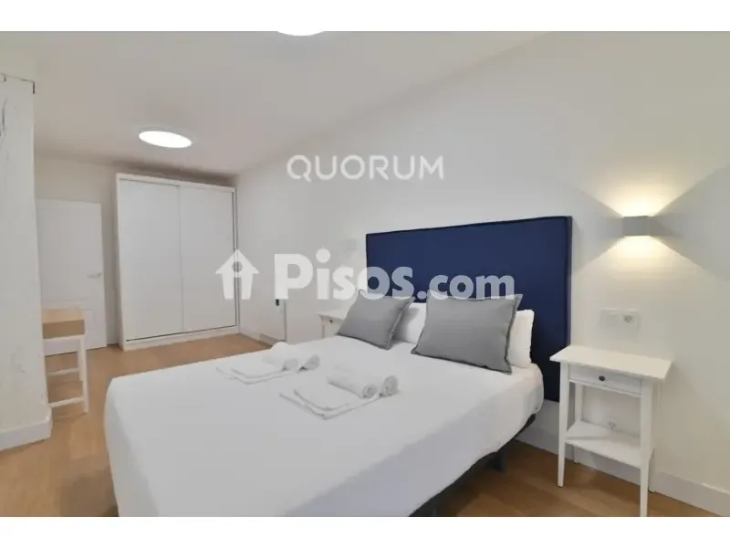 Magamistoad - Renovated Flat with Balcony in Alameda de Urquijo