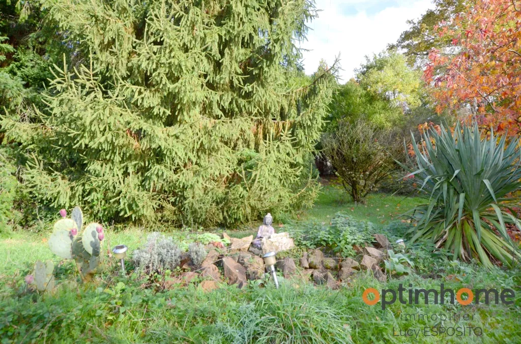 Jardin - Maison Atypique avec Étangs à Chabrac