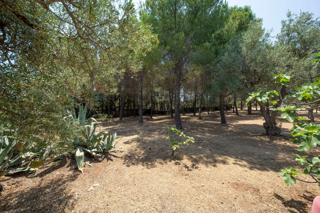 Jardin - Villa with Panoramic View in Siracusa