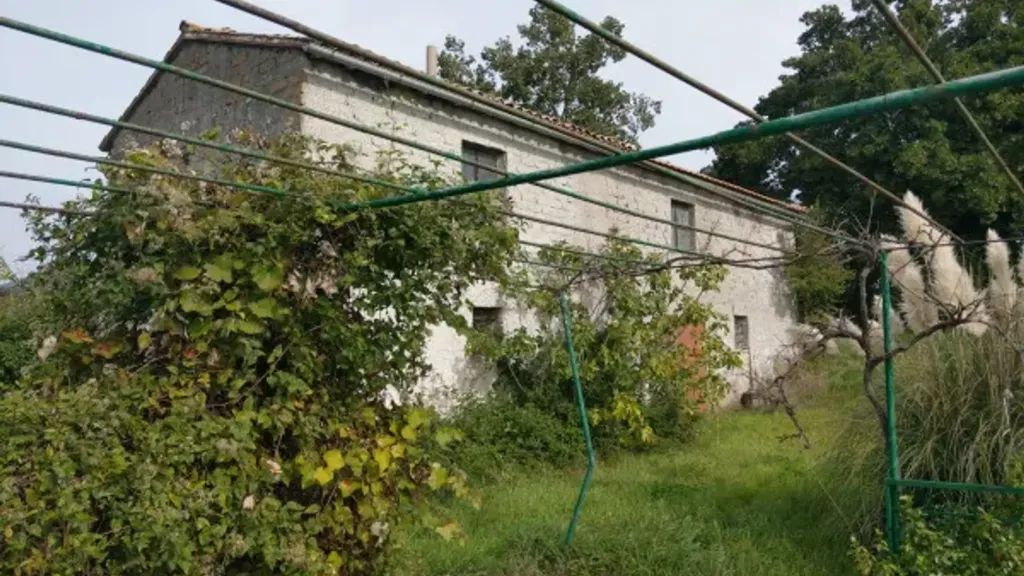 Extérieur - Rustic Casale with Olive Grove in Castel Madama