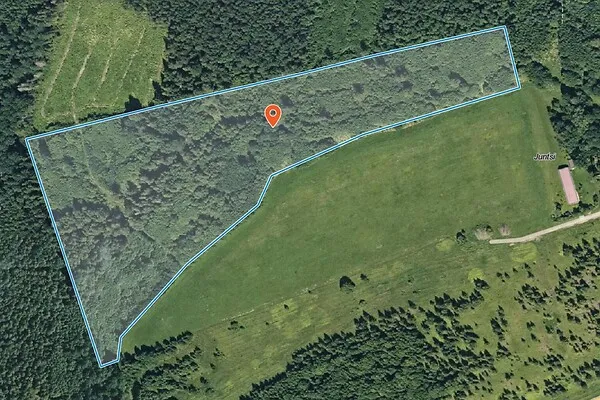 Aerial - Forest Land with Bonitet 4 in Järva County