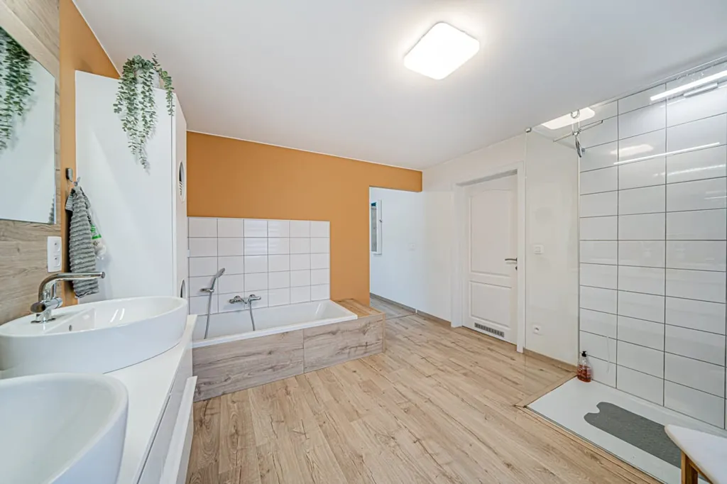Bagni - House with Pool in Haillot