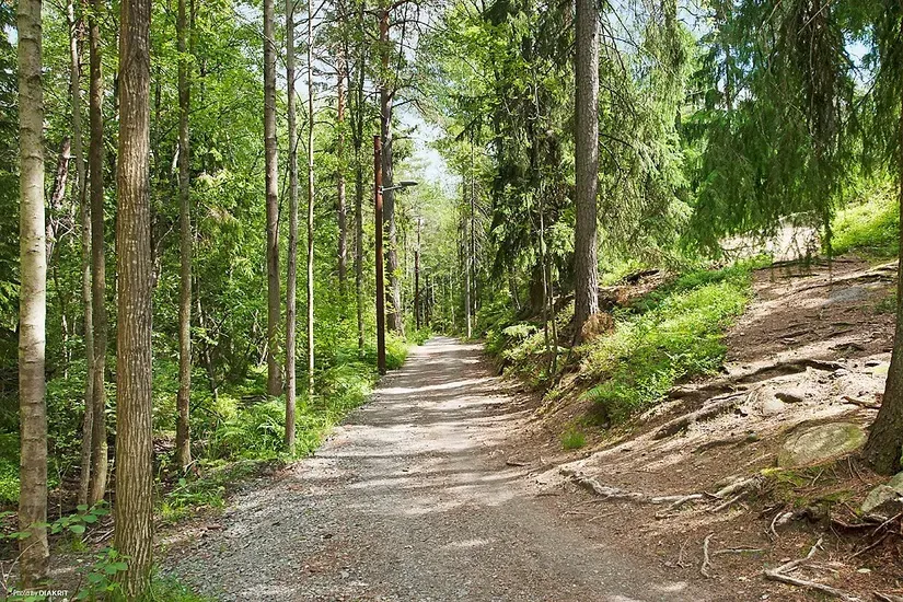 Jardin - Owner-Occupied Flat with Garden in Älvsjö