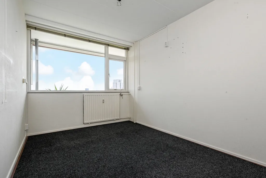 5-toaline korter asukohas Den Haag