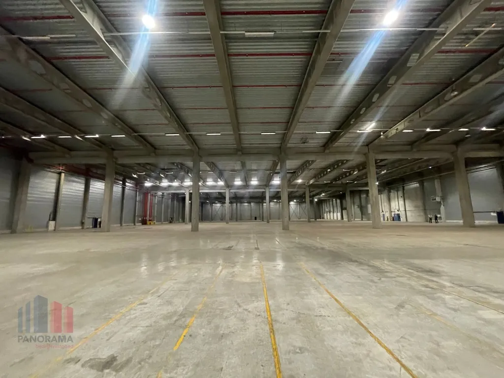 Toad - Logistic Warehouse with 10,000 m² in Ostend