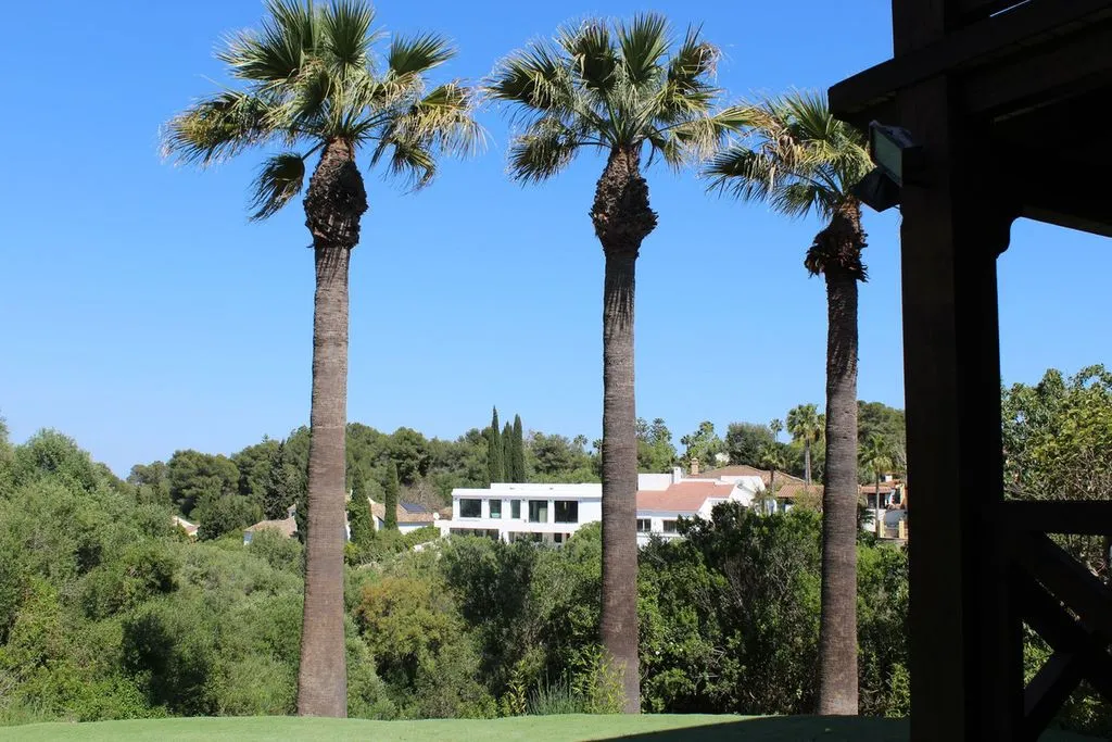 Jardin - Chalet with Pool and Terrace in Sotogrande Costa